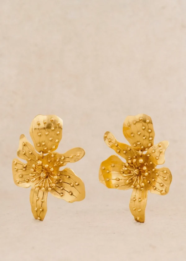 Boucles D'oreilles Albane-Sezane Fashion