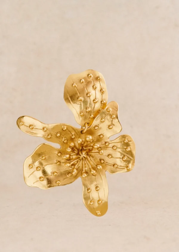 Boucles D'oreilles Albane-Sezane Fashion